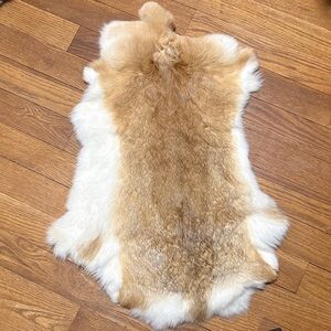 #0639 rabbit pelt